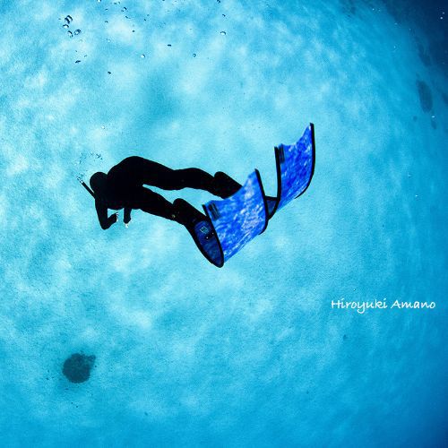 奄美スキンダイビング