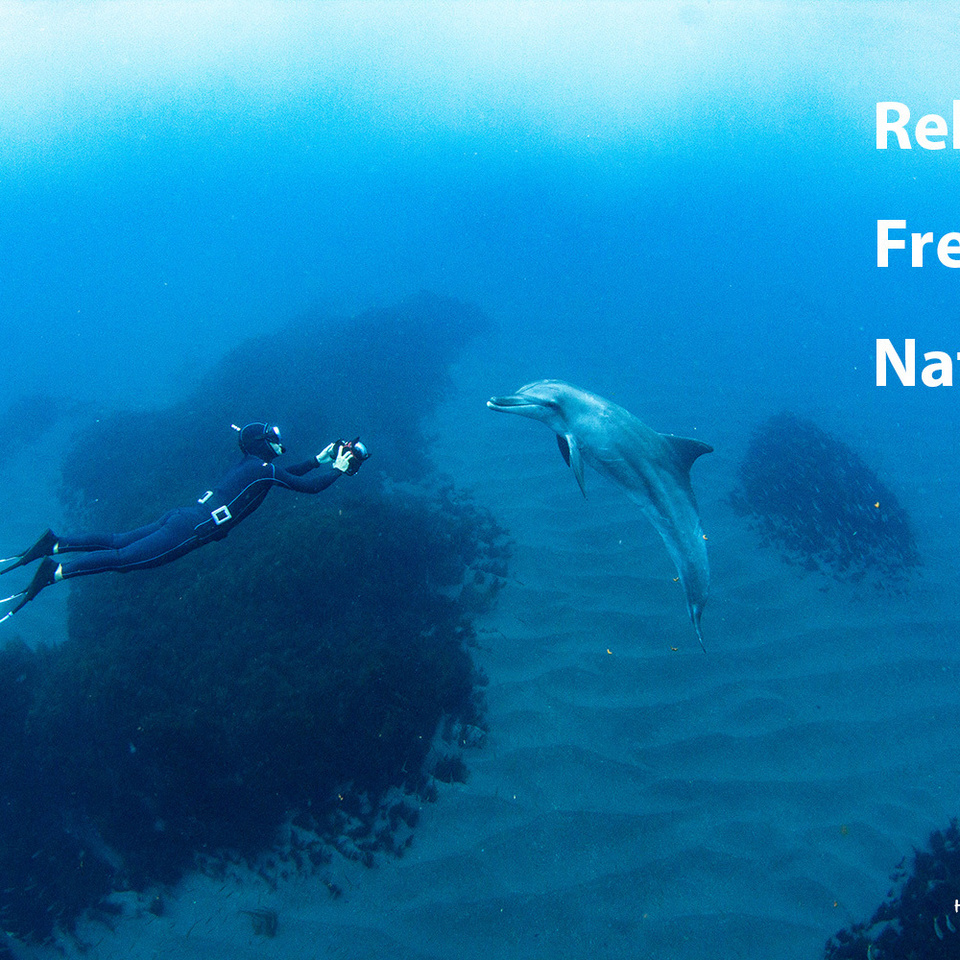 奄美スキンダイビング