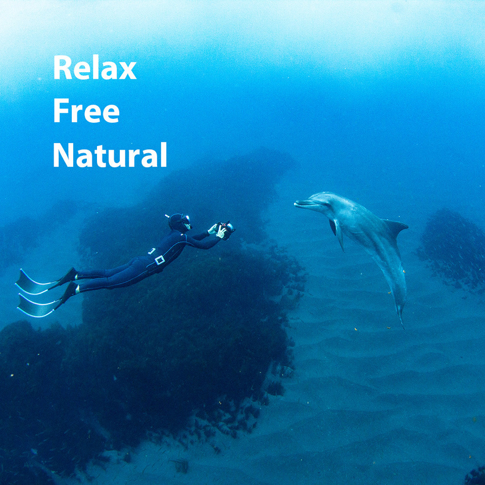 ミナミハンドウイルカ 御蔵島