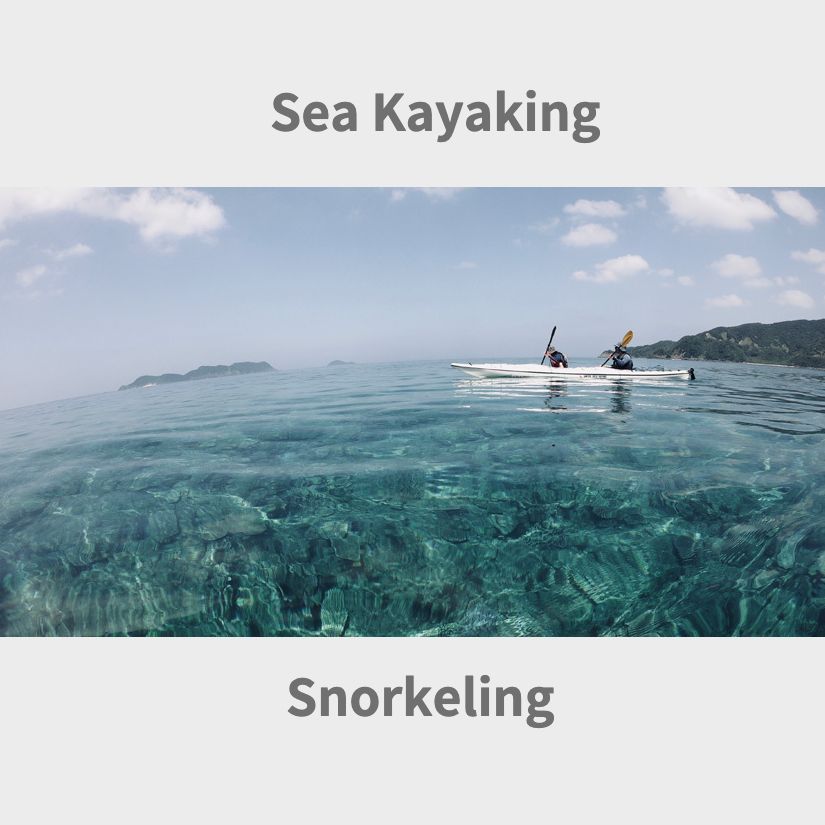 ネイチャーツアー