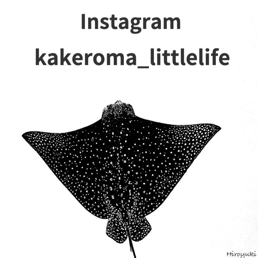 Little Life公式instagramアカウント