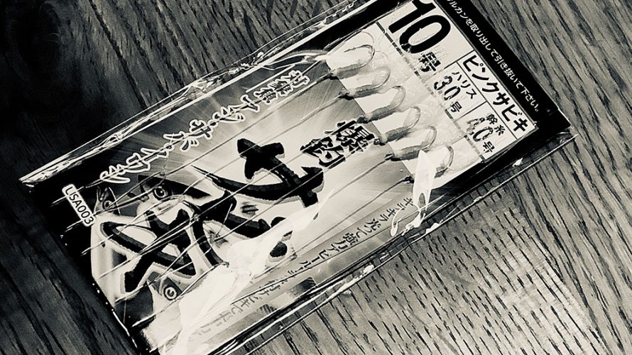 カヤックで貧乏サビキ釣り