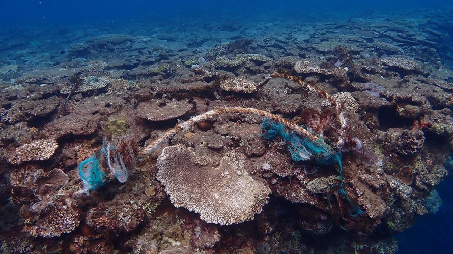 奄美海のクリーンアップ活動in加計呂麻島