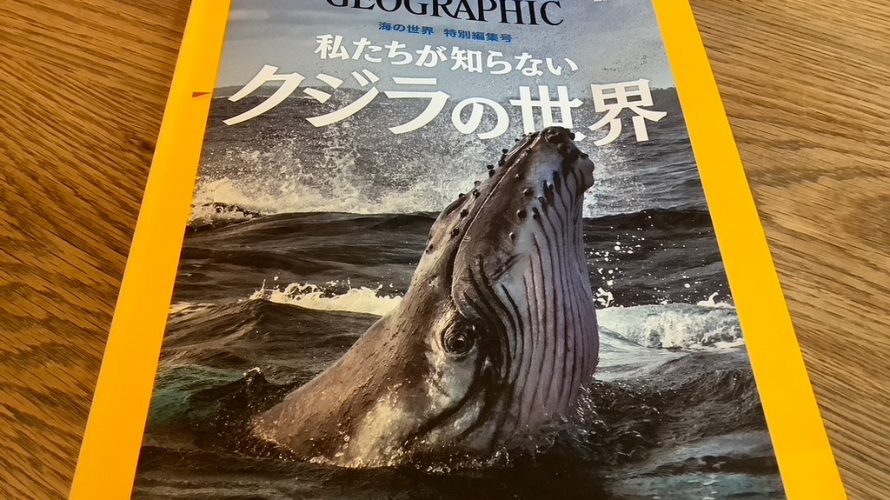 私たちが知らないクジラの世界